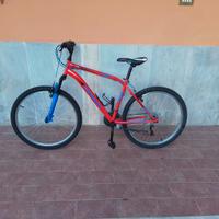 Mtb esperia michigan