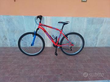 Mtb esperia michigan