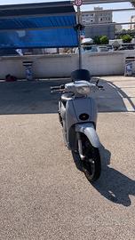 SCARABEO 50/80 preparato