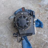 motore tagliaerba Briggs & Stratton