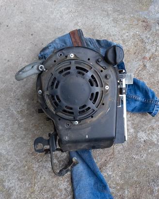 motore tagliaerba Briggs & Stratton