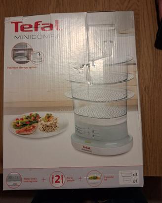 Vaporiera Tefal