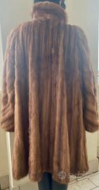 Visone maschio selvaggio