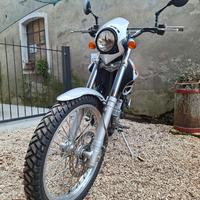 Beta Alp 4.0