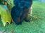 Immagine 4