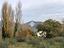 Immagine 11
