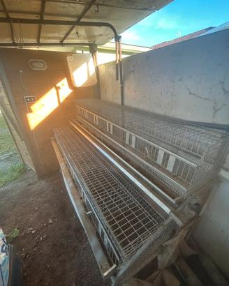 Gabbie per conigli da carne/ingrasso