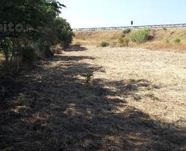 Terreno agricolo di 1500 mq a San Martino
