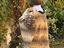 Immagine 5