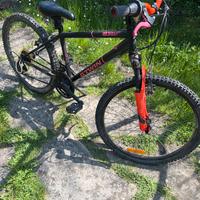 Mountain bike rockrider 500