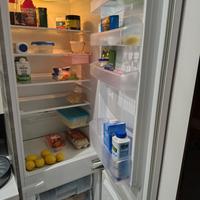 frigorifero da incasso 