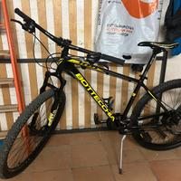 Bici bottechia