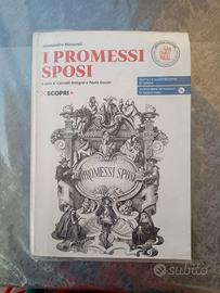 I promessi sposi 9788858307908