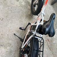Bicicletta elettrica 250w