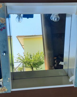 Specchiera da bagno