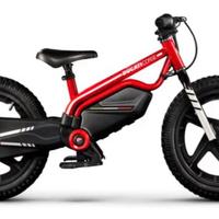 Ebike bimbo 16 pollici ducati