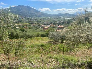 Terreno Belmonte Mezzagno