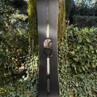 Tavola Snowboard Salomon ASSASSIN PRO