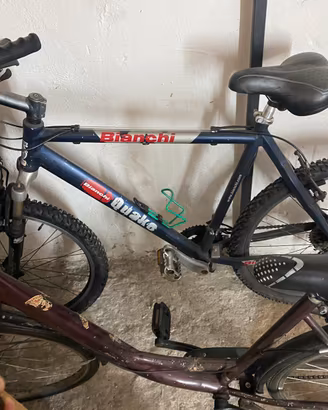 2 biciclette