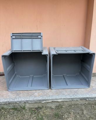 Bins frutta