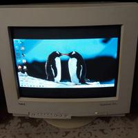 Monitor CRT colore