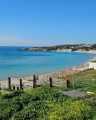Marina di pulsano settembre disponibile
