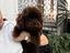 Immagine 4