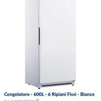 Congelatore colonna bianco