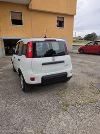 Panda 1.0 hybrid