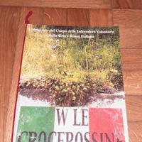 LOTTO CALENDARI CROCE ROSSA ITALIANA INFERMIERE