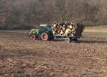 Giardiniere/boscaiolo e trattorista
