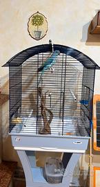 Gabbia per uccelli