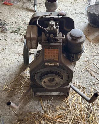 Motopompa diesel lombardini