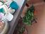Immagine 1