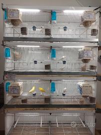 Batteria 120/60 italgabbie 