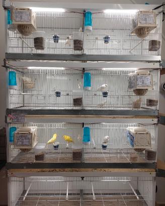 Batteria 120/60 italgabbie 