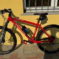 Specialized stumpjumper muscolare