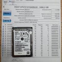 Hard Disk HGST 1TB 7200 RPM – ID HDD_20
