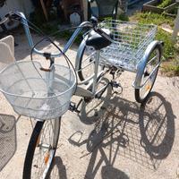 Bicicletta tre ruote adulti