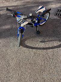 Bicicletta da bambino