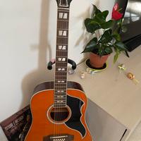 Eko Ranger XII 12 corde