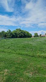 Terreni potenzialmente edificabili Salzano (VE)