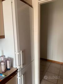 Frigorifero più congelatore