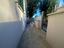 Immagine 24