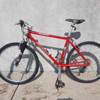 Bicicletta Mountain Bike Specialized Rockhopper M