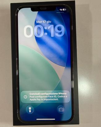 Iphone 12 pro max 256gb