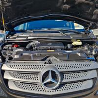 Coppia Fari Mercedes Vito