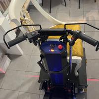 SaliScale cingolato elettrico antano kargo