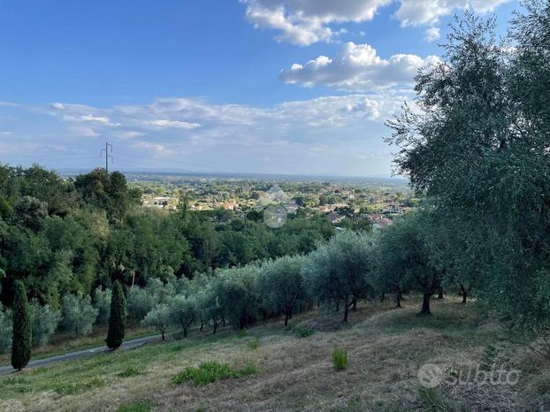 TER. AGRICOLO A UZZANO