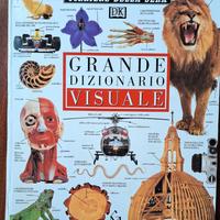 Grande Dizionario Visuale - Mondadori